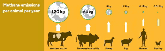 methane_emissions_01