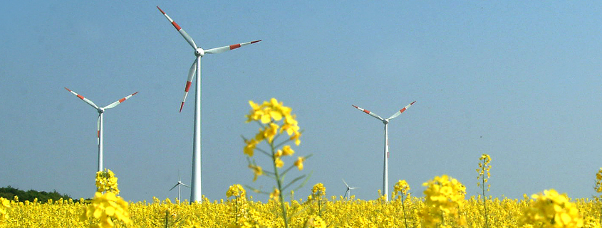 Windmühlen auf Feld