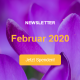 Kopfzeile des Newsletters vom Februar 2020 mit lila Blumen im Hintergrund und einem Spendenaufruf