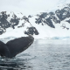 Protecting Oceans Antarctica