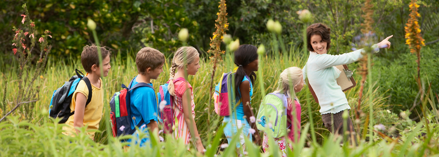 Bildung für nachhaltige Entwicklung - Education for sustainable development