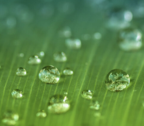 Press Release cover World Future Policy Award 2025